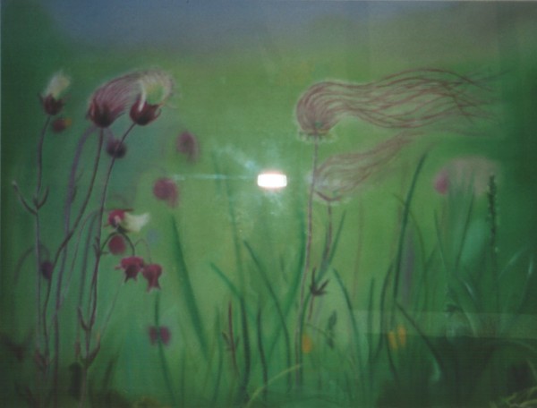 019 Les Fleurs Torches.jpg - Torches (65x50 cm)   &nbsp;Vendu&nbsp; 